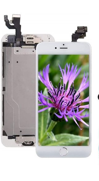 📱 PANTALLA RECAMBIO IPHONE 6 📱