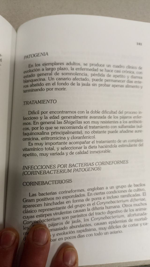 Enfermedades de los pájaros domésticos