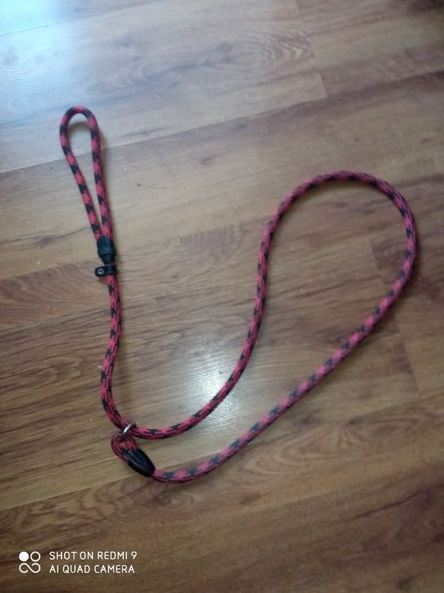 correa con collar nylon (arrpe) nunca usado