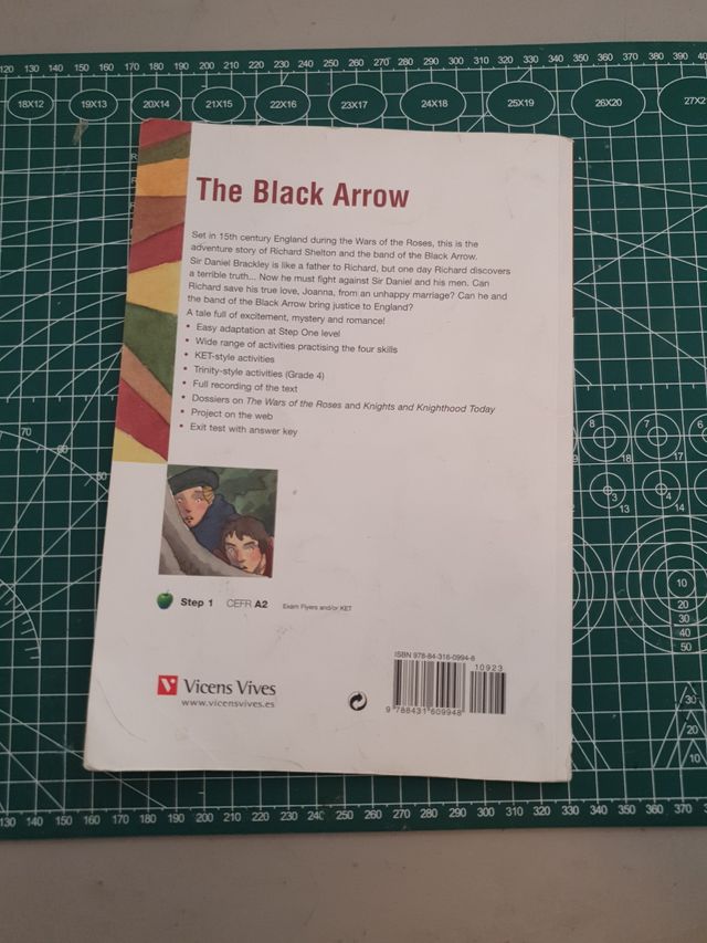 Libro black arrow