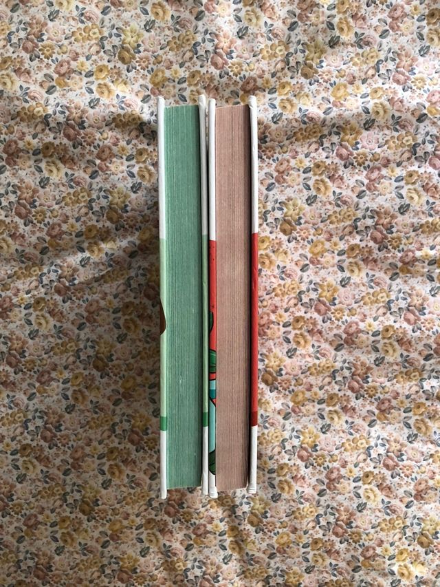 Il pacchetto di libri Crazy Hacks