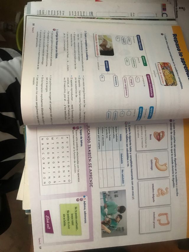 Naturales 5 primaria. Aula activa. Vicens Vives.