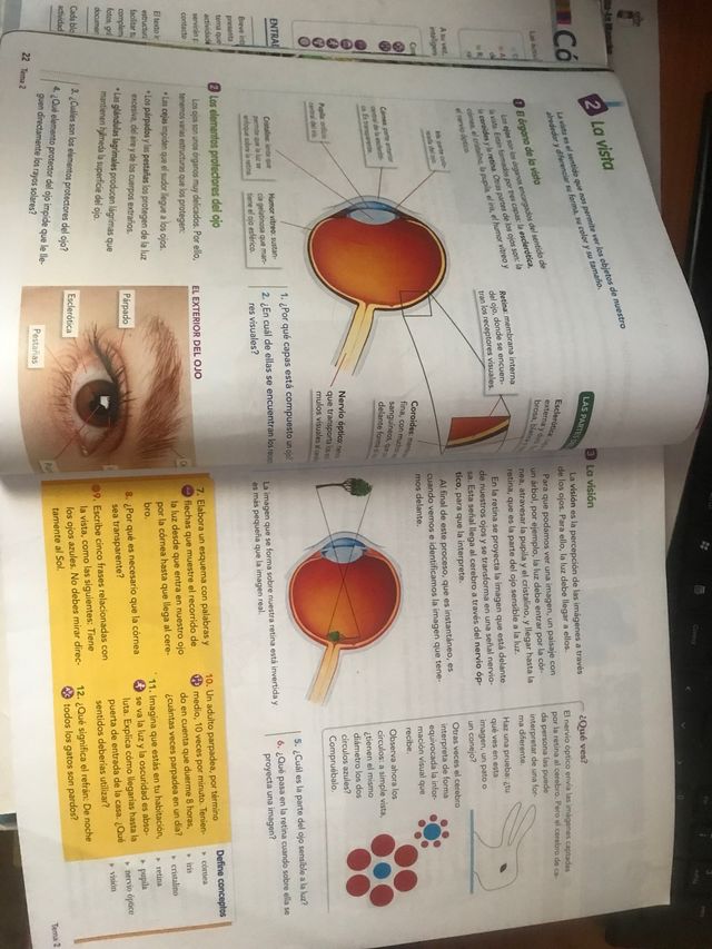 Naturales 5 primaria. Aula activa. Vicens Vives.