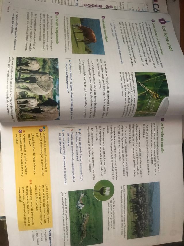 Naturales 5 primaria. Aula activa. Vicens Vives.