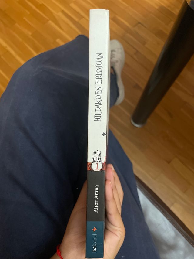 Libro de lectura en euskera: Hildakoen eremuan