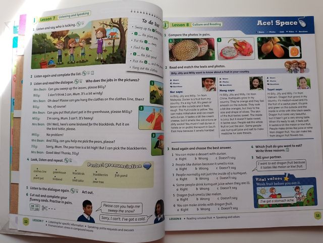 Libro d inglés ACE 5