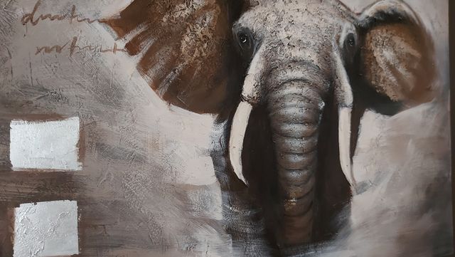 Lienzo elefante