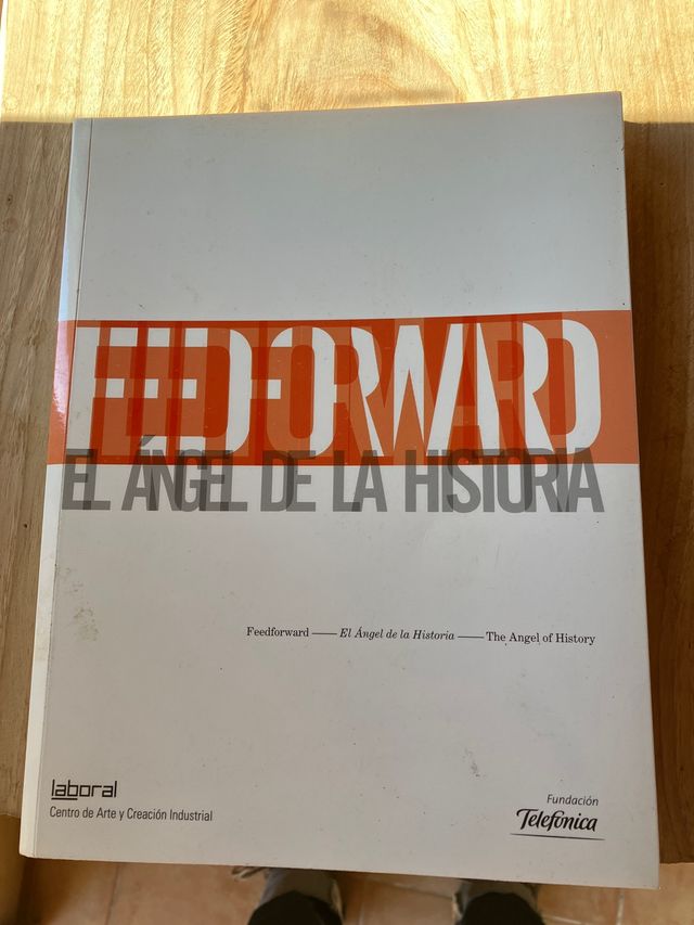 Feedforward. el Ángel de la Historia