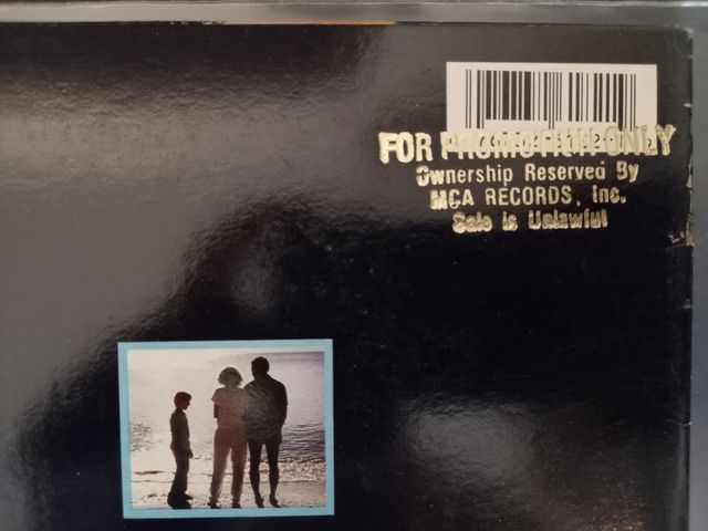 Manhunter vinilo doce pulgadas 12" álbum LP disco