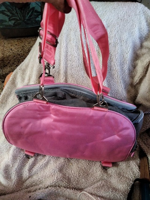 mochila para mascotas