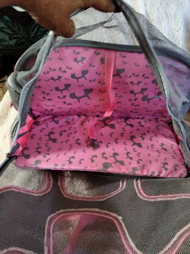 mochila para mascotas