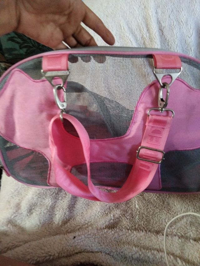 mochila para mascotas