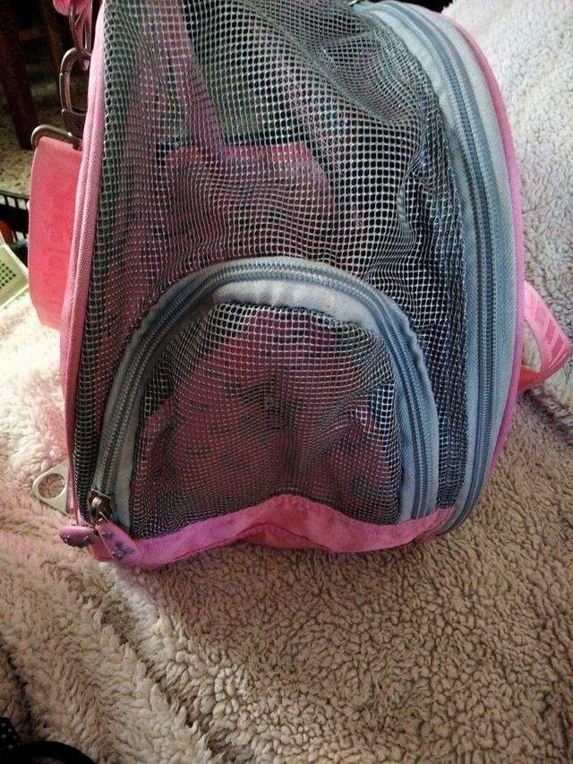 mochila para mascotas