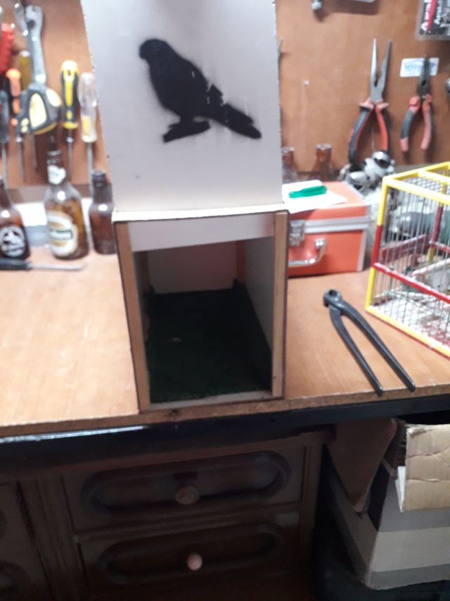 trasportin para aves y rapaces