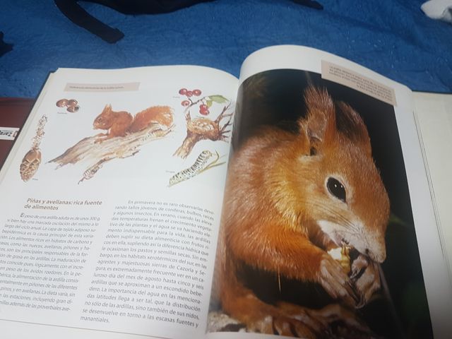 fauna iberica y europea