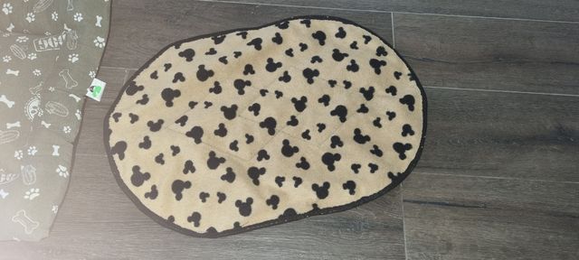 Cama perro pequeño /mediano más cojin