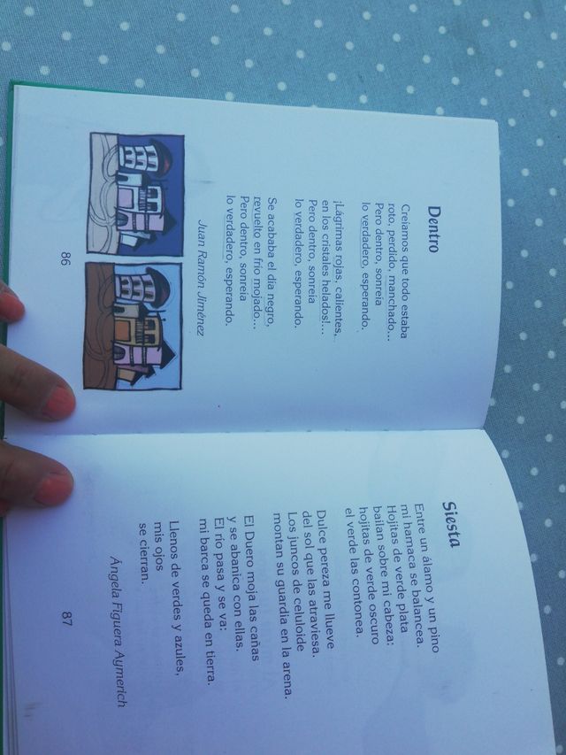 Pajarulí,  Poemas para seguir andando