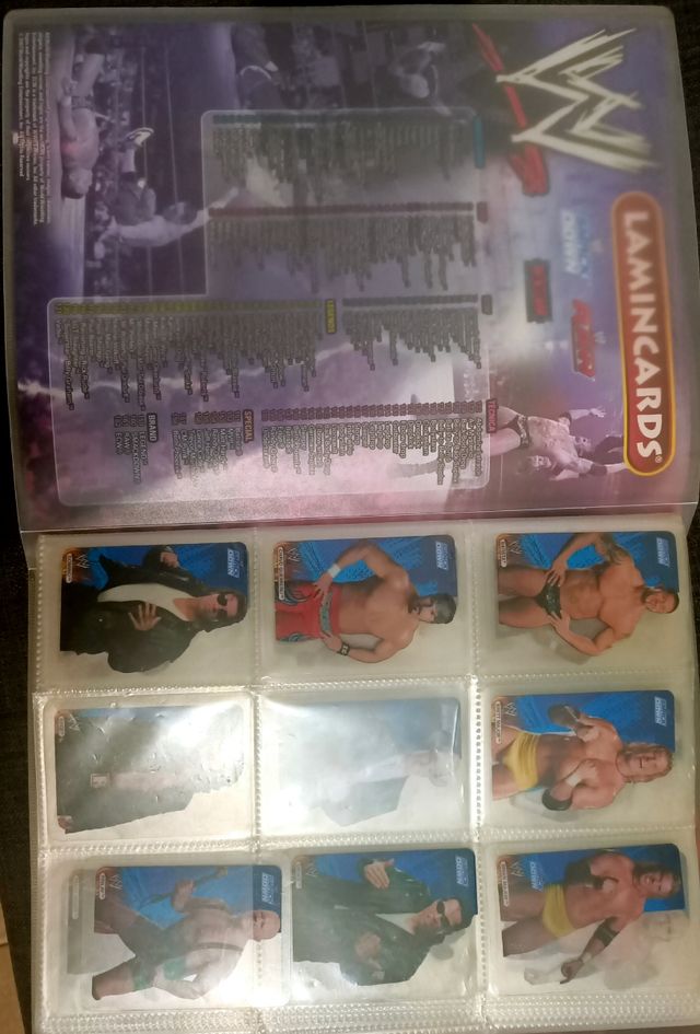 Álbum de la WWE del año 2007.