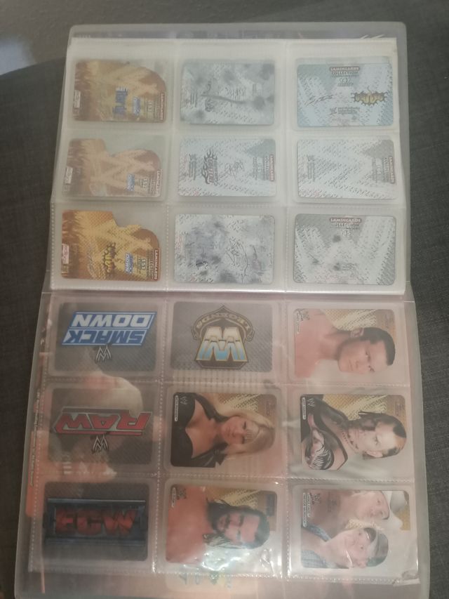 Álbum de la WWE del año 2007.