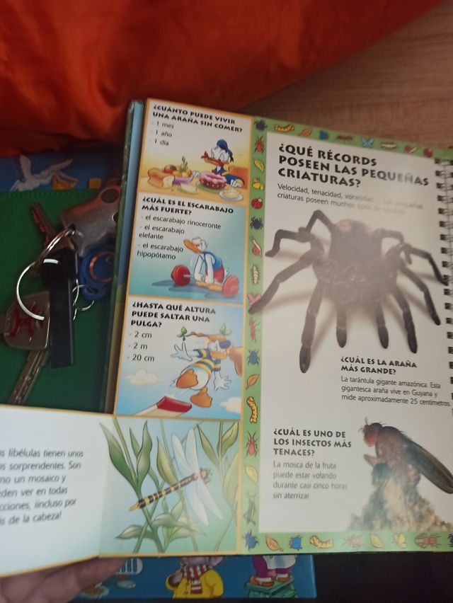 libros interactivos  Disney