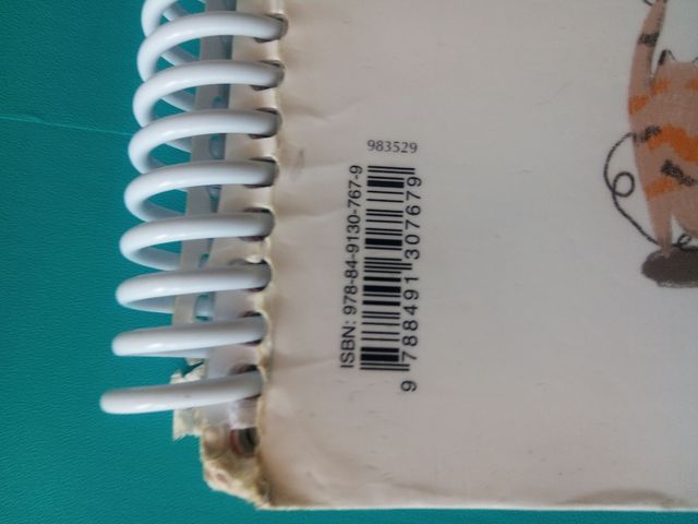 Llengua+ Català 6 Primaria Santillana Grup Motors