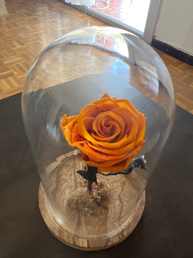 Rosa Eterna Naranja en Cristal✨