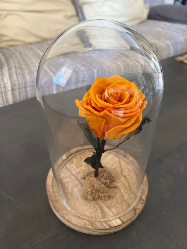 Rosa Eterna Naranja en Cristal✨