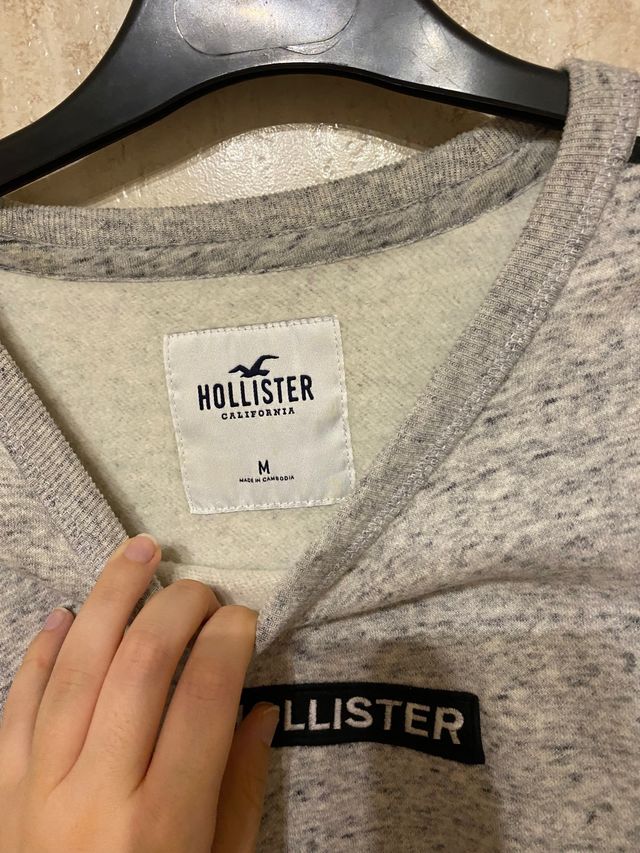 Sudadera Hollister
