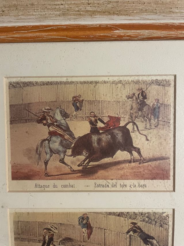 Cuadro corrida de toros, tauromaquia