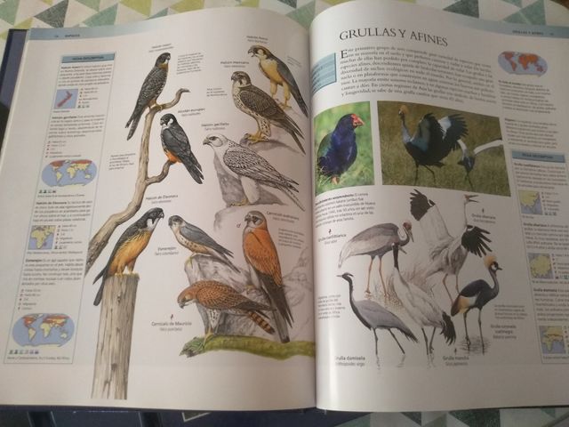 Enciclopedia de animales.