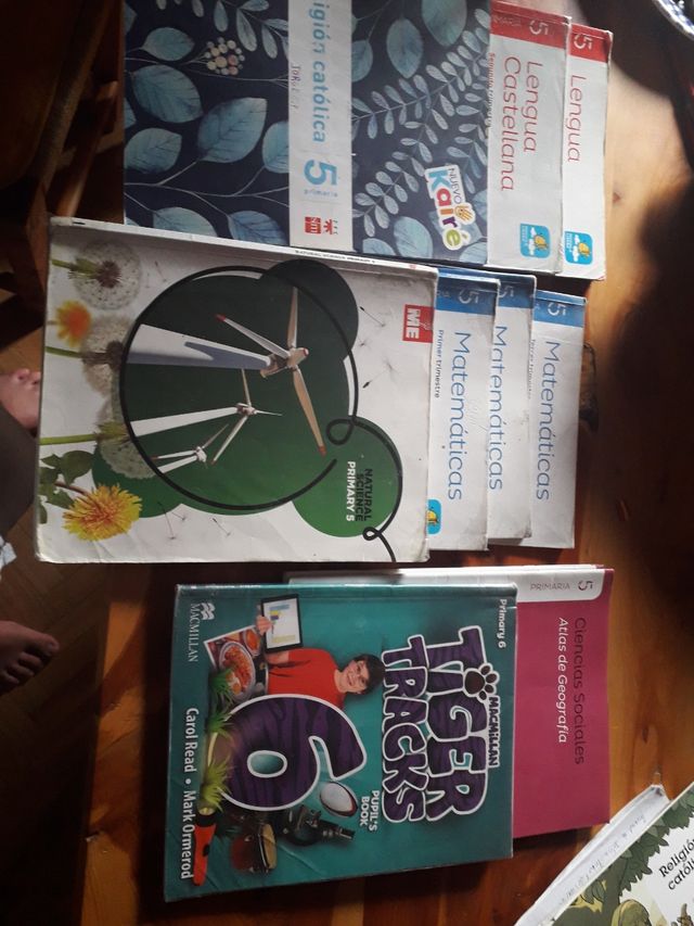 libros de primaria diferentes asignaturas y libros
