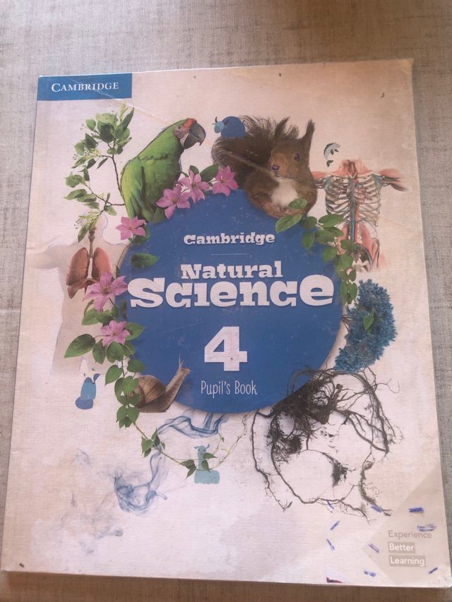 Natural Science 4* Primaria