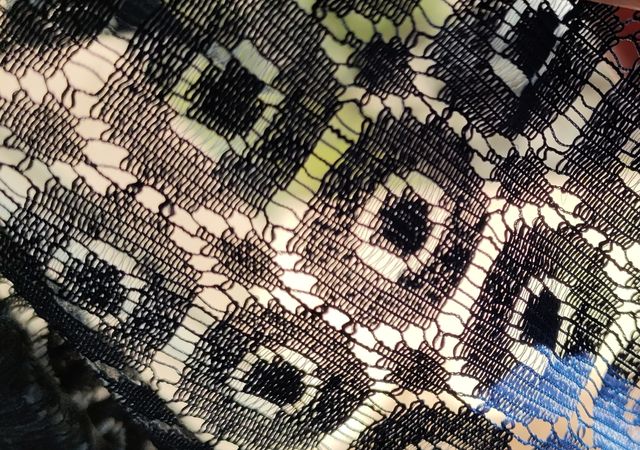 Restos de tela preciosa para hágalo usted mismo