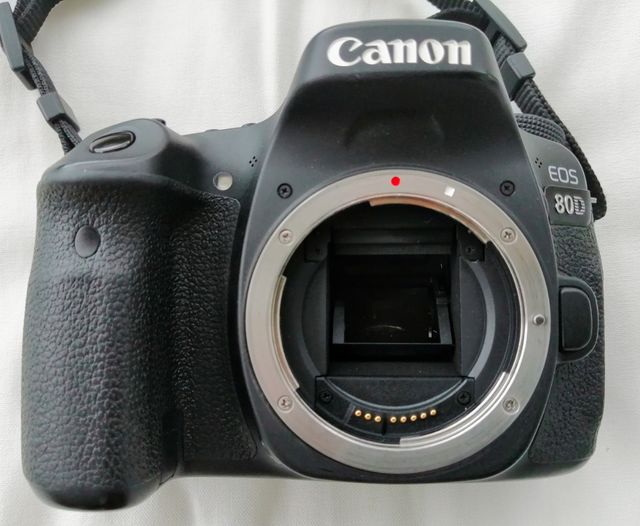 Cámara de fotos Canon Eos 80D