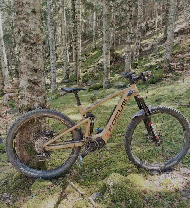Focus Jam 2 6 9 Drifter Sandbrown De Segunda Mano Por 2 600 EUR En focus-jam-2-6-9-drifter-sandbrown-de-segunda-mano-por-2-600-eur-en