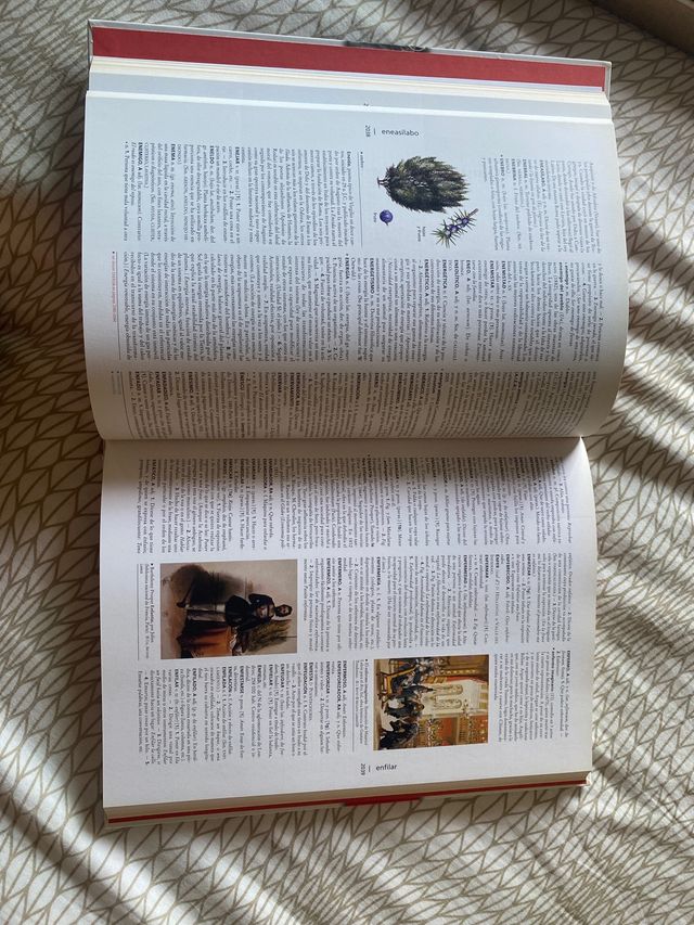 Enciclopedia universal Larousse