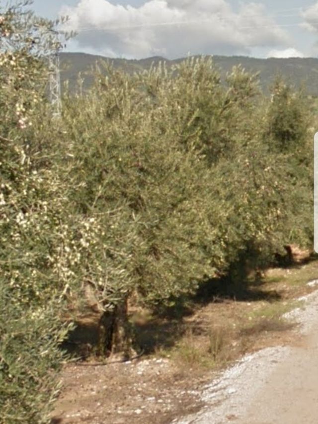 Terreno en venta Olivos