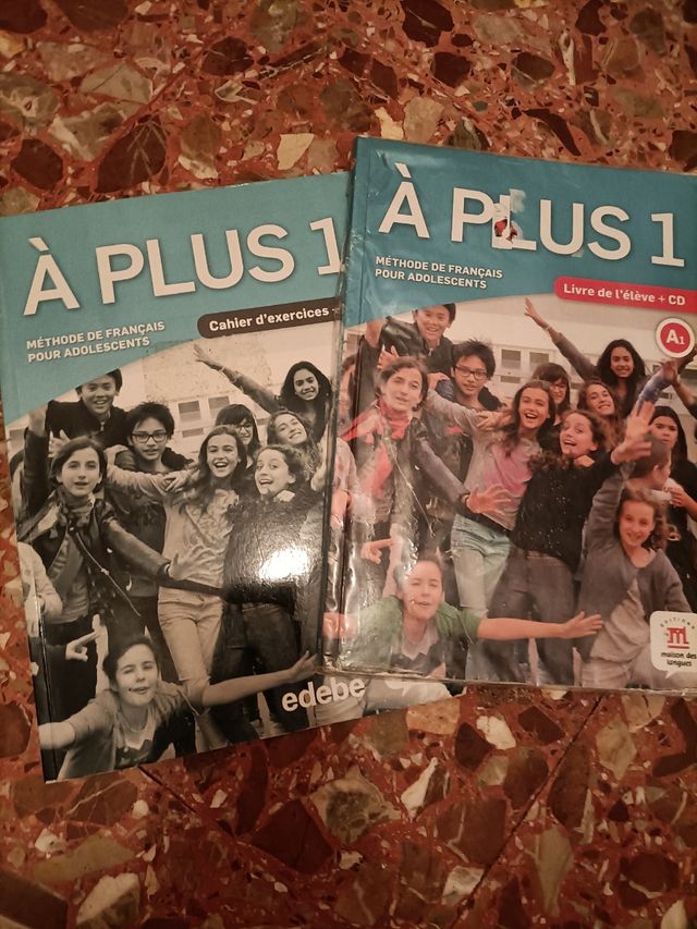 libro francés A plus 1