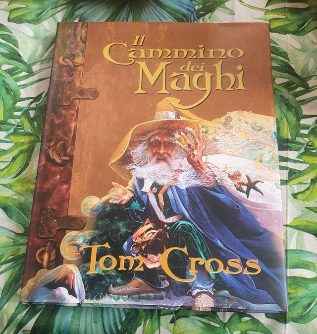 libro il cammino dei maghi