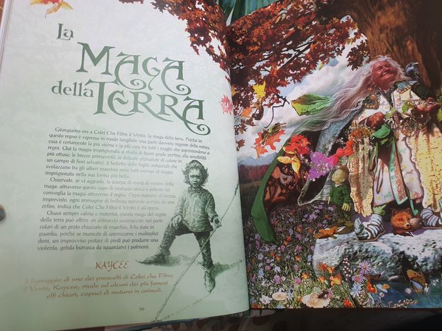 libro il cammino dei maghi