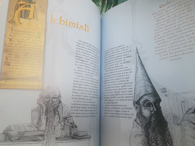 libro il cammino dei maghi