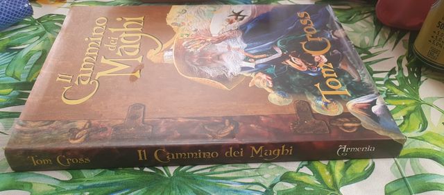 libro il cammino dei maghi