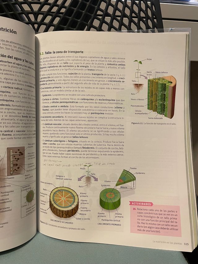 Libro di biologia e geologia (1° diploma di maturità)