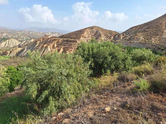 Terreno finca rural en venta