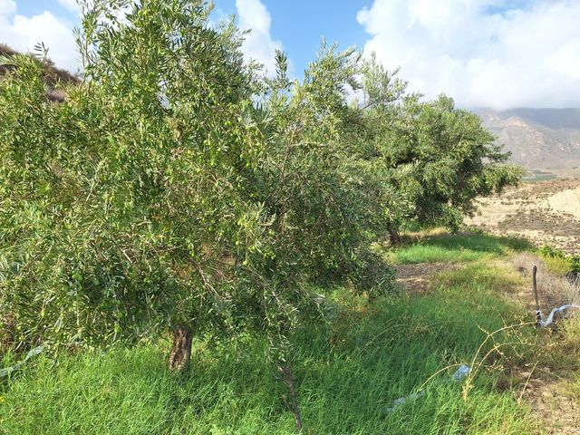 Terreno finca rural en venta