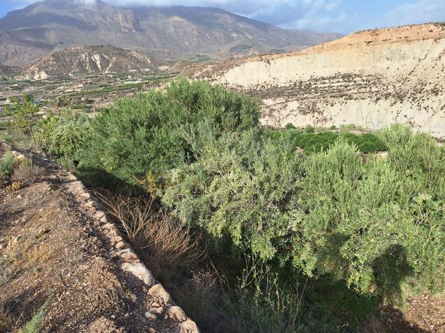 Terreno finca rural en venta