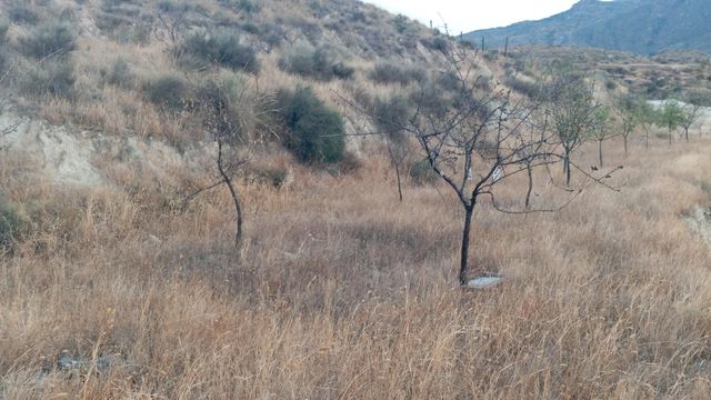 Terreno finca rural en venta