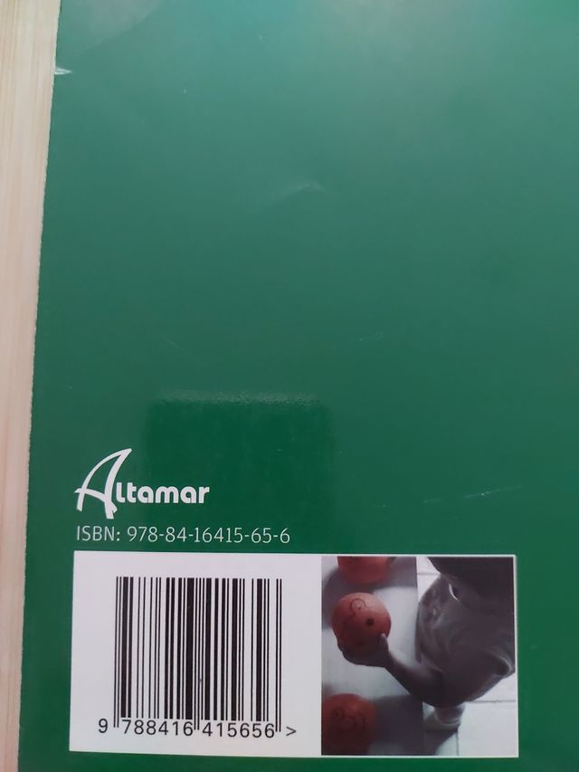 DESARROLLO SOCIOAFECTIVO