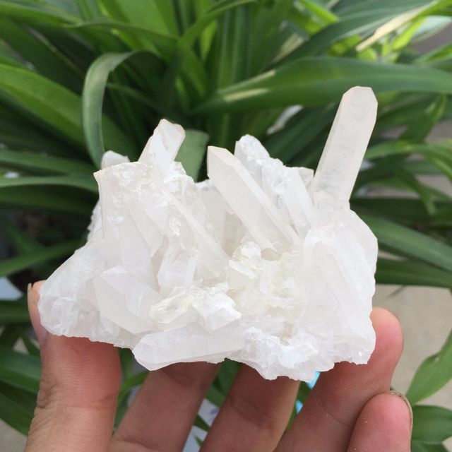 MINERAL CRISTAL CUARZO CALCITA CRISANTEMO + REGALO