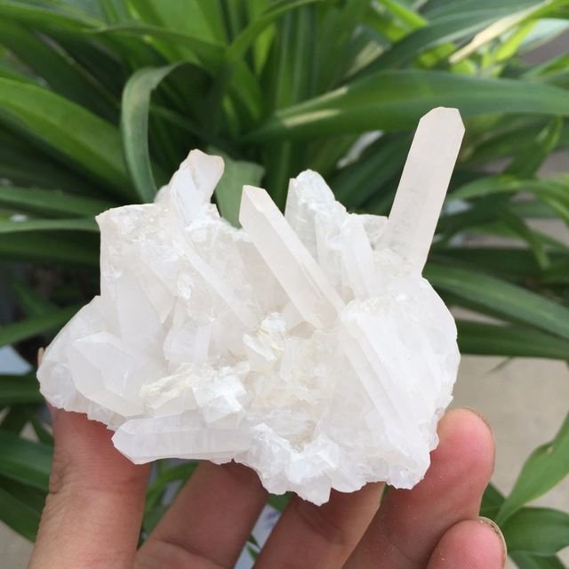 MINERAL CRISTAL CUARZO CALCITA CRISANTEMO + REGALO